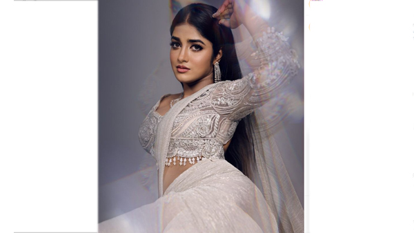 Telugu Heroine Dimple Hayathi Stunning Pic Goes Viral