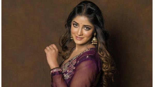 Telugu Actress Dimple Hayathi Latest Photo Shakes Internet