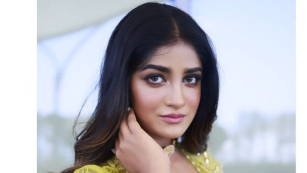 Telugu Actress Dimple Hayathi Latest Photo Shakes Internet