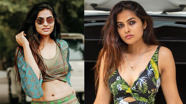 Bigg Boss Divi Vadthya Sizzling Glamour Pics In Black Colour Blouse