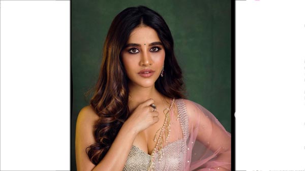 Tollywood beautiful Actress Nabha Natesh latest beautiful pics viral