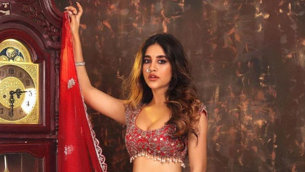 Tollywood beautiful Actress Nabha Natesh latest beautiful pics viral