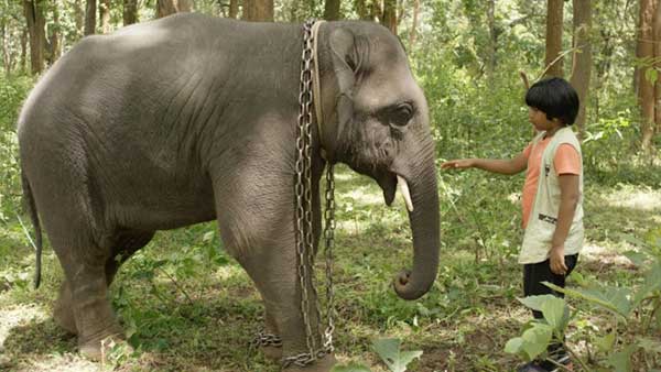 List Of OTT And Theatres Movies Web Series Released On June 2nd Week 2023 List Of OTT And Theatres Movies Web Series Released On June 2nd Week 2023