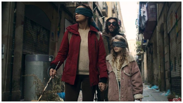 birdbox1