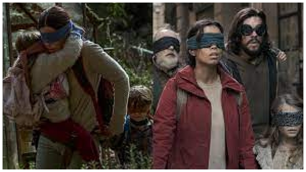 birdbox1