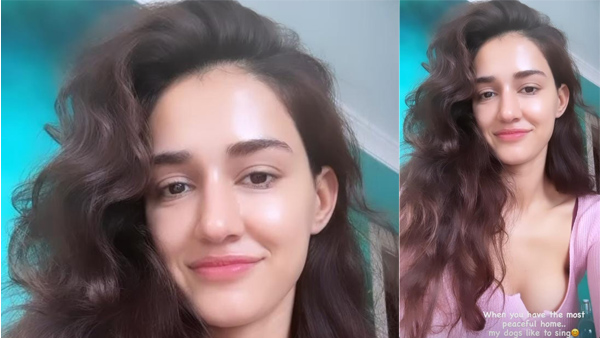 Project K Actress Disha Patani Sizzling Look In Latest Pink Colour Top Project K Actress Disha Patani Sizzling Look In Latest Pink Colour Top