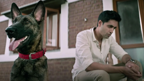 HIT 2 Movie Dog Sasha has passed Away due to Tick Fever HIT 2 Movie Dog Sasha has passed Away due to Tick Fever