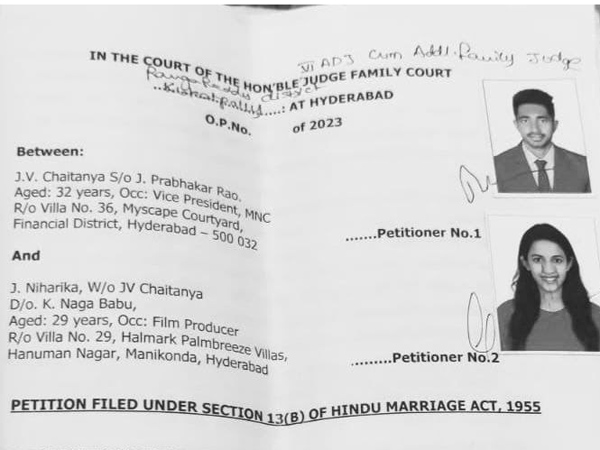 Mega Daughter Niharika Konidela Chaitanya jonnalagadda Wedding Cost details viral in social media 