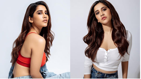 Heroine Nabha Natesh Latest Good Looking Photos Viral