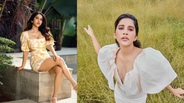 Young Actress Nabha Natesh Latest Fantastic Photos Viral