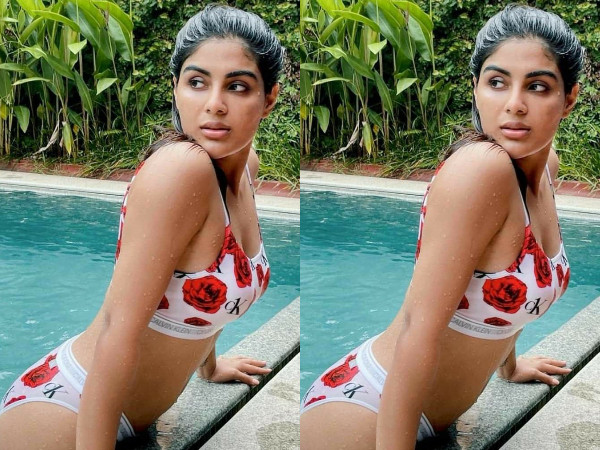 Virupaaksha Heroine Samyuktha Menon Latest Stunning Photo Viral