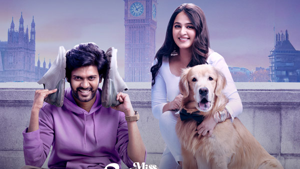 Miss Shetty Mr Polishetty Movie 15 Days Official Box Office Collections