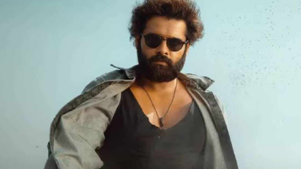 Director Boyapati Srinu political dialogues