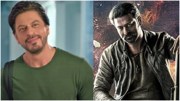 Salaar Movie Stong Buzz And Shah Rukh Khan Avoid Dunki Clash With Prabhas Salaar Movie