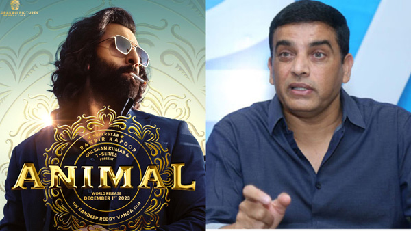 Dil Raju Bagged Animal Movie Telugu States Rights with Huge Price