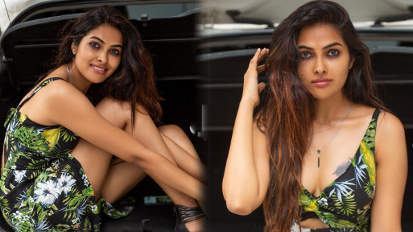 Bigg Boss Beauty Divi Vadhtya Latest Post Goes Viral 