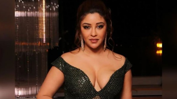 Jr.NTR Oosaravelli Fame Payal Ghosh Tweet on Balakrishna Hat-trick Hits And satires on Bollywood Stars News Goes Viral