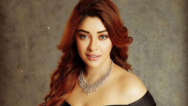 Jr.NTR Oosaravelli Fame Payal Ghosh Tweet on Balakrishna Hat-trick Hits And satires on Bollywood Stars News Goes Viral
