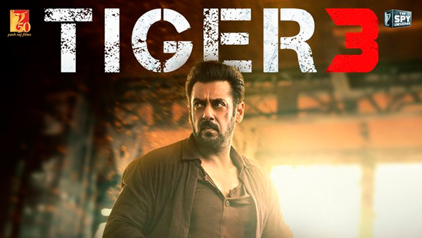 Salman Khan Starrer Tiger 3 Movie 10 Days Worldwide Box Office Collections