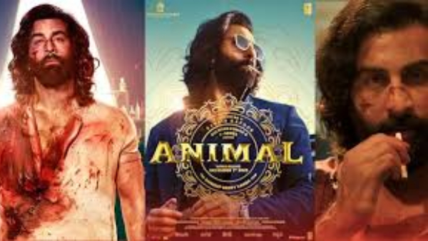 Animal Movie 23 Days Worldwide Box Office Collections.. Crosses RRR Record in North America