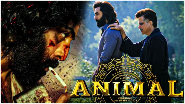 Ranbir Kapoor Starrer Animal Movie 13 Days Worldwide Box Office Collections