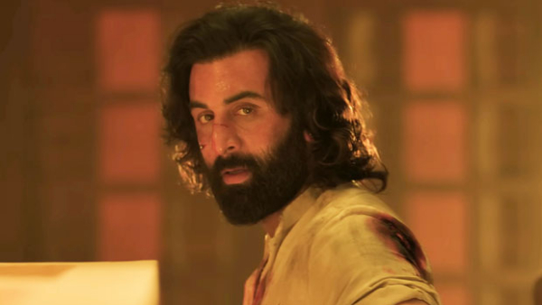 Ranbir Kapoor Starrer Animal Movie 10 Days Worldwide Box Office Collections Ranbir Kapoor Starrer Animal Movie 10 Days Worldwide Box Office Collections