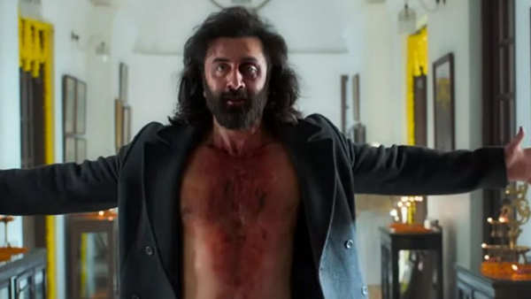  Animal Movie Recreated History by Running Special show 24x7 in Mumbai