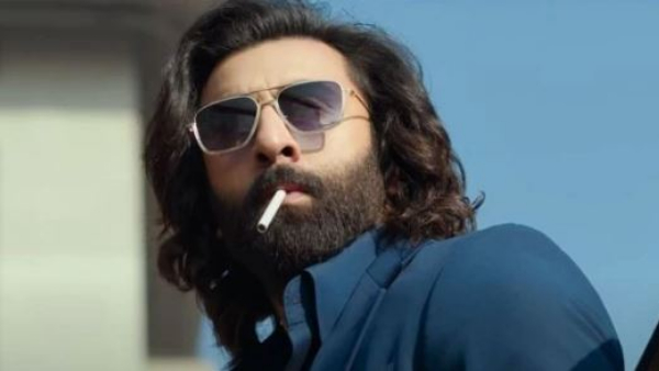 Ranbir Kapoor Starrer Animal Movie 10 Days Worldwide Box Office Collections Ranbir Kapoor Starrer Animal Movie 10 Days Worldwide Box Office Collections