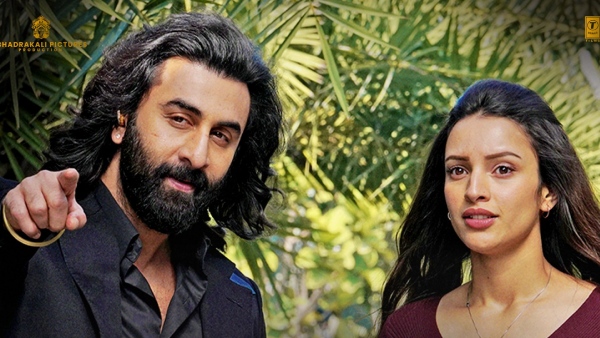 Animal Movie North America Collections: Rashmika Mandanna joins 10 million dollars club