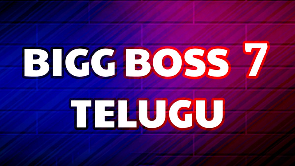 Wikipedia Shows Bigg Boss Telugu 7 Winner and Runner Names Before Finale