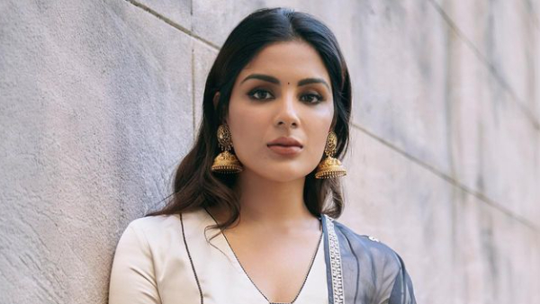 Year Ender 2023: Thease Heroines Bagged HIT In Telugu Cinema This Year