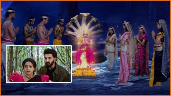 Naga Devatha Curse to The Panchami For Saving Moksha on December 15th Episode Number 227 in Naga Panchami Telugu Serial