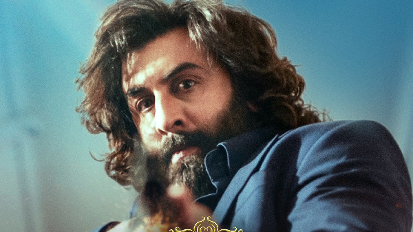 Ranbir Kapoor Starrer Animal Movie 19 Days Worldwide Box Office Collections