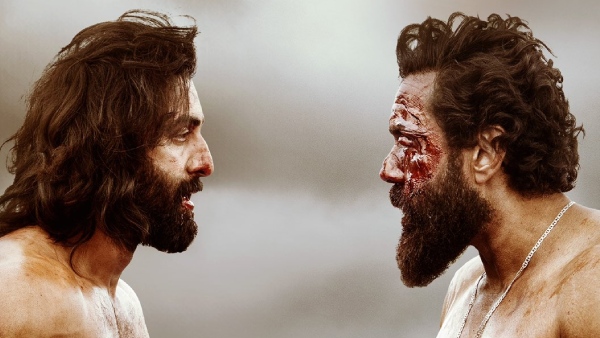 Ranbir Kapoor Starrer Animal Movie 19 Days Worldwide Box Office Collections