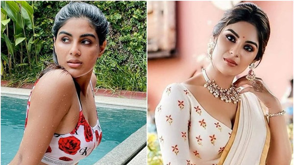 Nandamuri Kalyan Ram Devil Heroine Samyuktha Menon is Going To Marry Her Boy Friend News Goes Viral