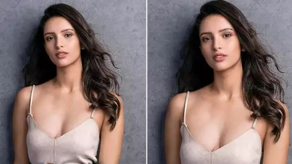 Animal Beauty Tripti Dimri Getting Heroine Chance in Allu Arjun Trivikram Movie Full Details Here