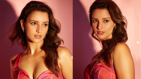 Animal Movie Hot Beauty Tripti Dimri Remuneration For Animal Movie Check Details