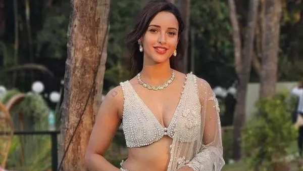 Animal Beauty Tripti Dimri Getting Heroine Chance in Allu Arjun Trivikram Movie Full Details Here