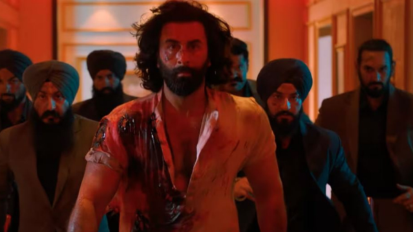 Animal Movie 31 Days Worldwide Box Office Collections.. Crosses Pathaan Record in India