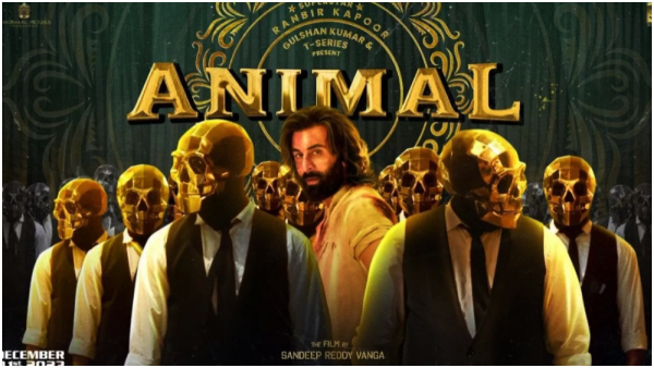 Animal Movie Streaming On Netflix From January 26th With Extended Content Animal Movie Streaming On Netflix From January 26th With Extended Content