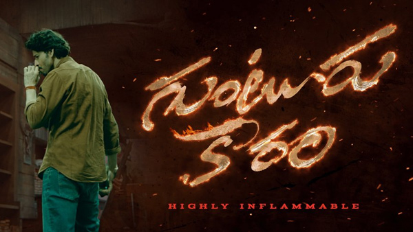 Sankranthi 2024 Released MOvies OTT Streaming Details Check Here