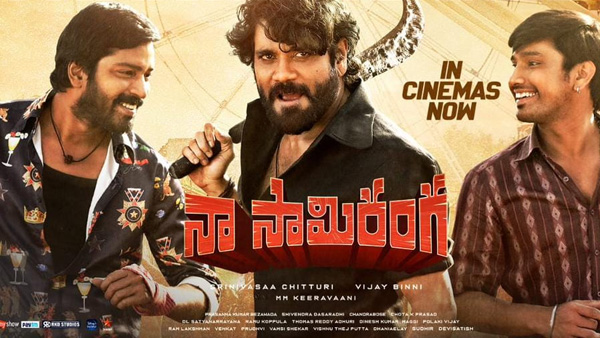 Nagarjuna Starrer Naa Saami Ranga Movie 4 Days Worldwide Collections Nagarjuna Starrer Naa Saami Ranga Movie 4 Days Worldwide Collections