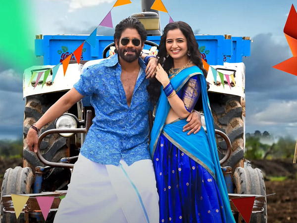 Nagarjuna Starrer Naa Saami Ranga Movie 16 Days Worldwide Collections