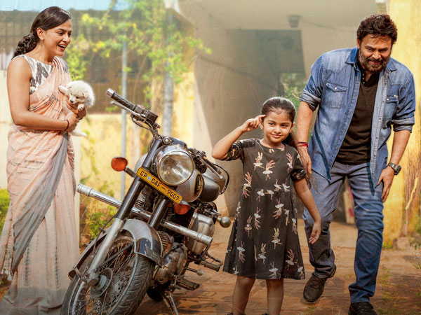 Saindhav Box Office Closing Collections Worldwide: Venkatesh Movie Box Office Report here Saindhav Box Office Closing Collections Worldwide: Venkatesh Movie Box Office Report here