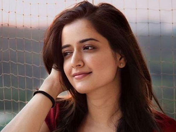 Megastar Chiranjeevi Vishwambhara Movie Similar to Hitler With Socio Fantasy Touch Check Details 