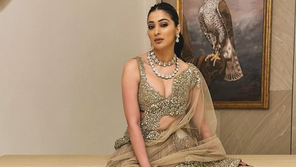 Tollywood Heroine Laxmi Raai Stunning Look Photos Goes Viral 