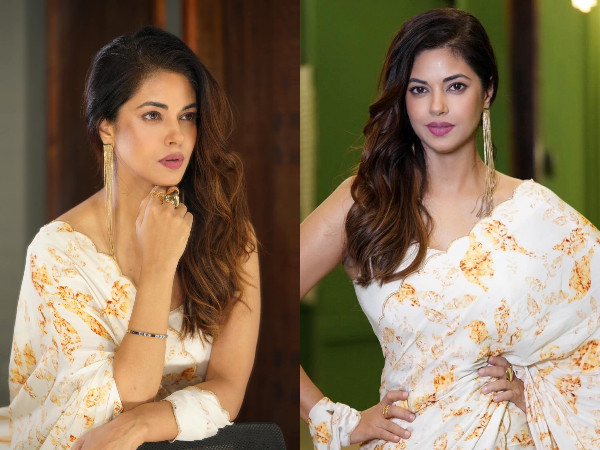 Pawan Kalyans Bangaram fame Heroine Meera Chopra getting ready for Marriage, Wedding dates are revealed