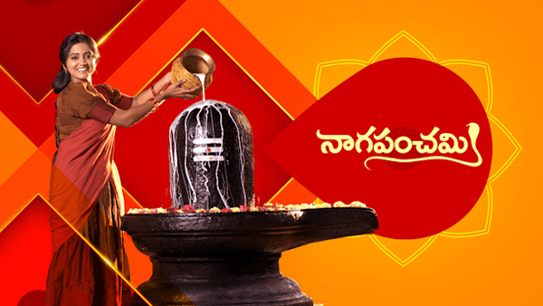 Panchami Fear About Moksha Getting Marry Wtih Meghana on Naga Panchami February 1st Episode