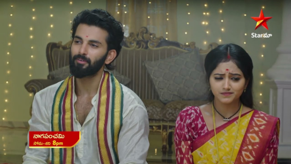 Naga Panchami Telugu Serial Weekly Roundup 2024 February 19th to February 24th episode Naga Panchami Telugu Serial Weekly Roundup 2024 February 19th to February 24th episode