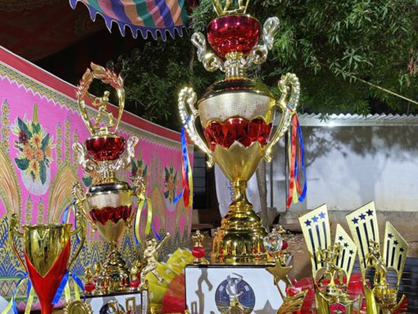 Prabhas Roaring Rebels Team won trophy against Pawan Kalyans Hungry Cheetahs Team In TFI Fans Cricket League